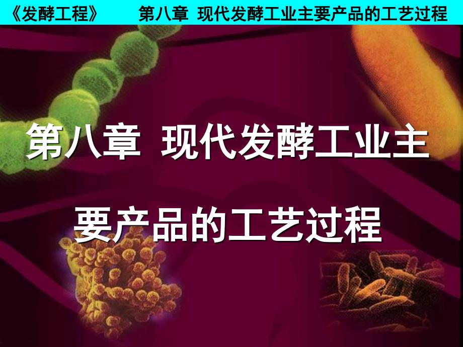 第八章 现代发酵工程主要产品的工艺过程_第1页