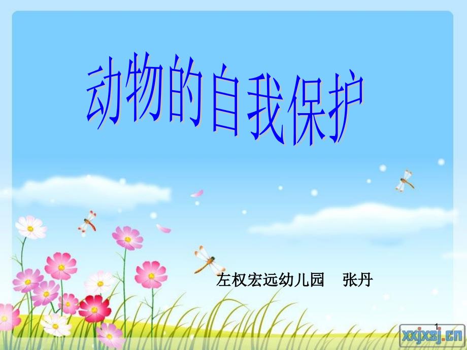 幼儿园课件：动物的自我保护_第1页