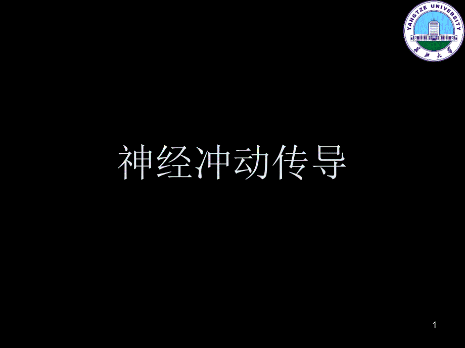 2、神经冲动的传导_第1页