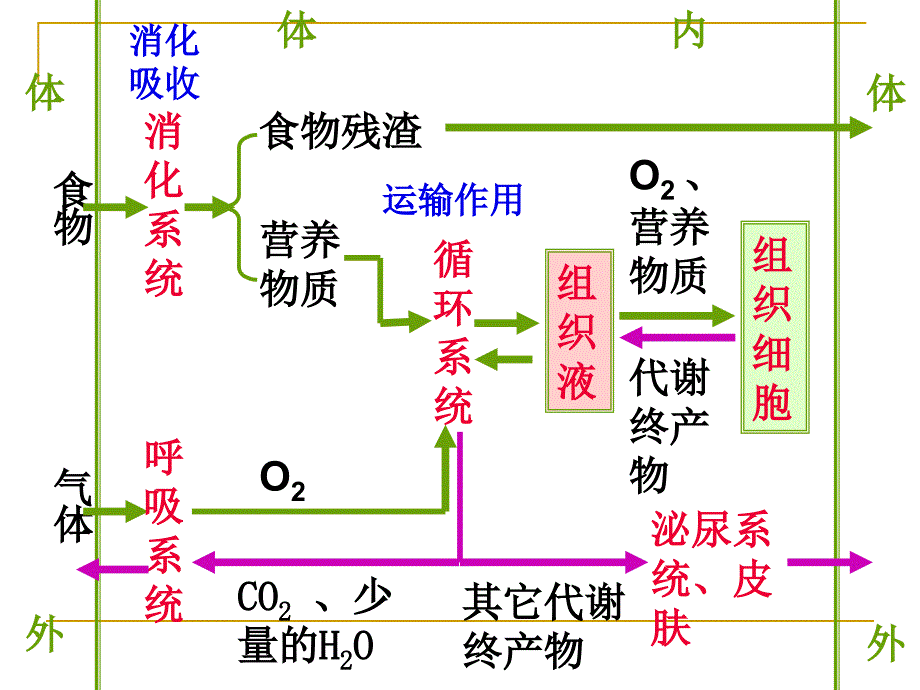 第2节 内环境稳态的重要性_第1页