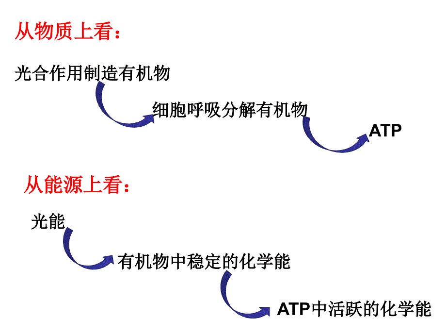 能量之源--光和光合作用_第1页