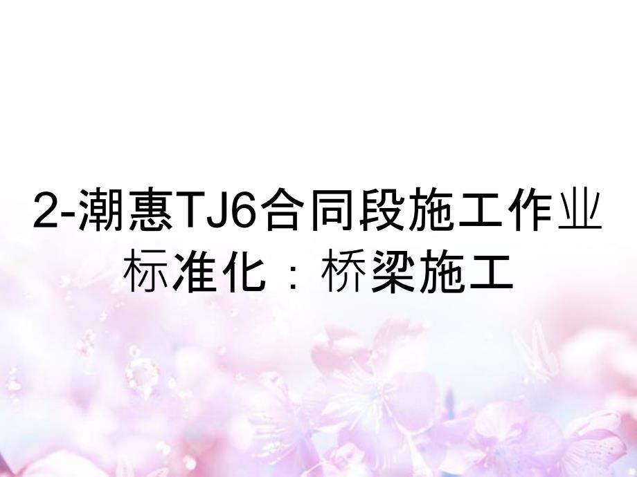 2-潮惠TJ6合同段施工作业标准化：桥梁施工_第1页