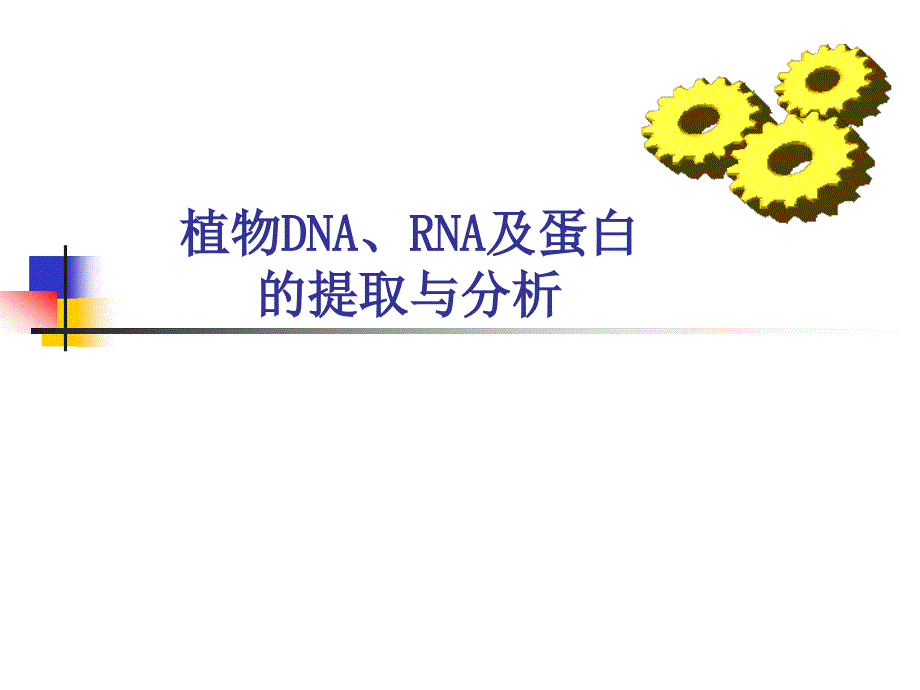 【生物课件】植物DNA、RNA及蛋白的提取与分析_第1页