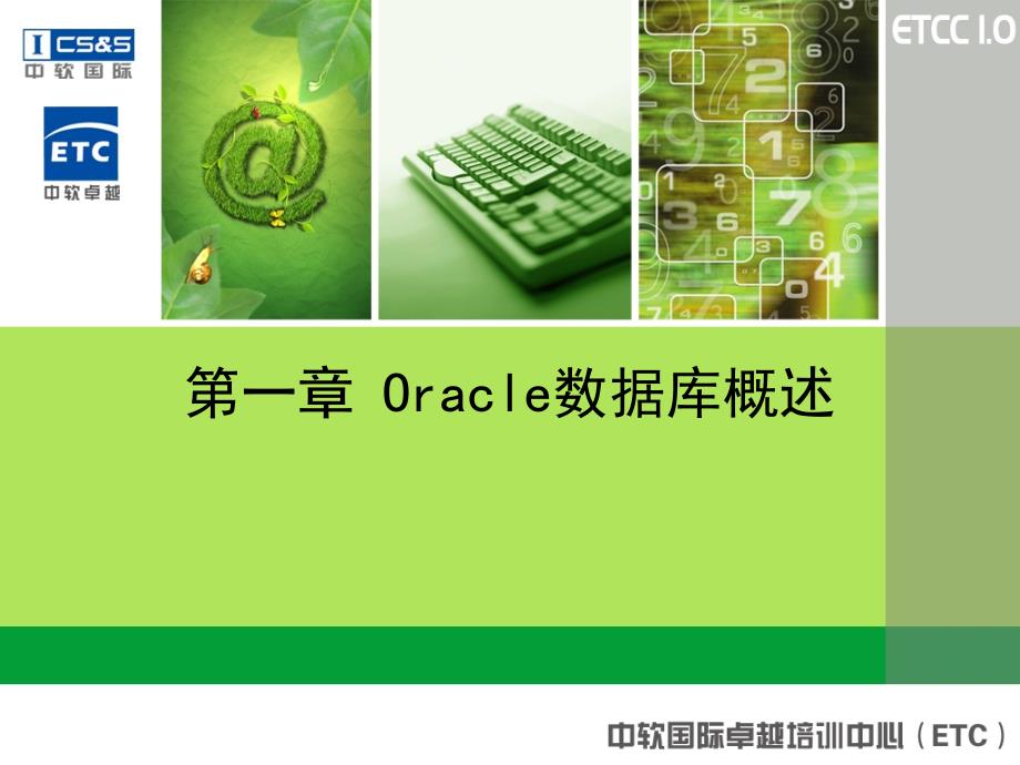 ORACLE数据库简介_第1页