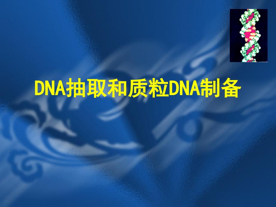 DNA和质粒抽提_第1页