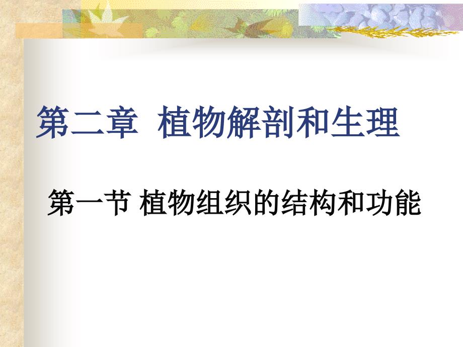 高中生物竞赛辅导课件__植物解剖和生理_第1页