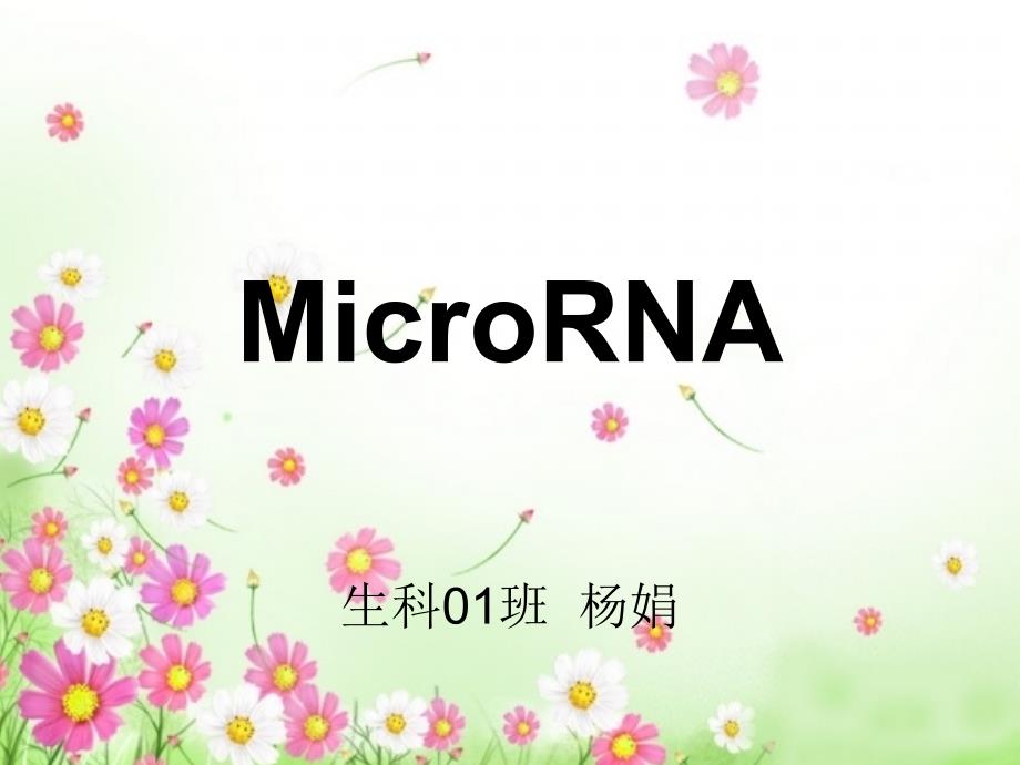 mircoRNA_第1页