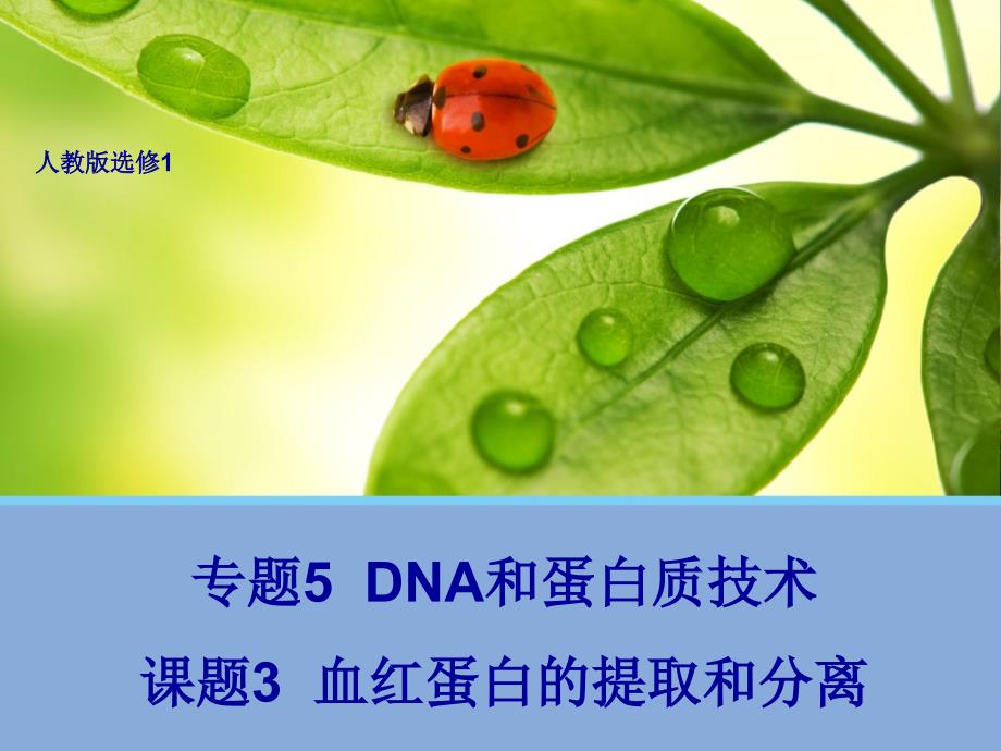 高中生物选1血红蛋白的提取和分离_第1页