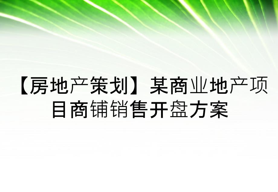 【房地产策划】某商业地产项目商铺销售开盘方案_第1页