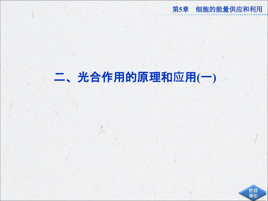 人民教育版高中生物必修1同步教学课件 第五章第四节二光合作用的原理和应用(一)_第1页