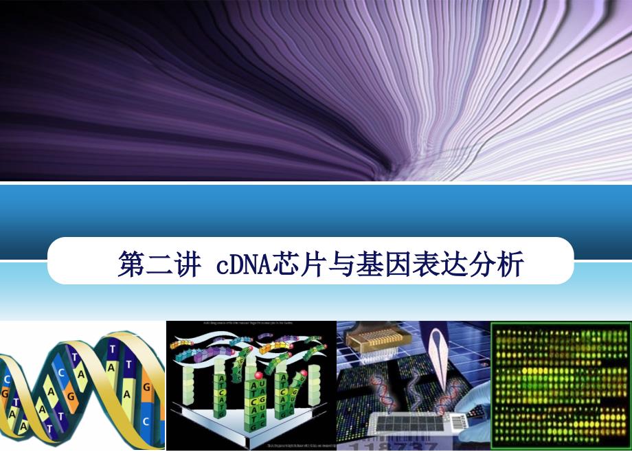 第二讲 cdna芯片与基因表达分析._第1页