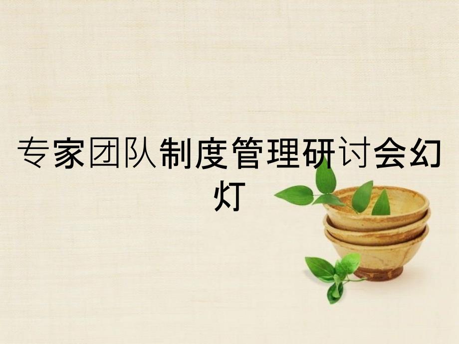 专家团队制度管理研讨会幻灯_第1页