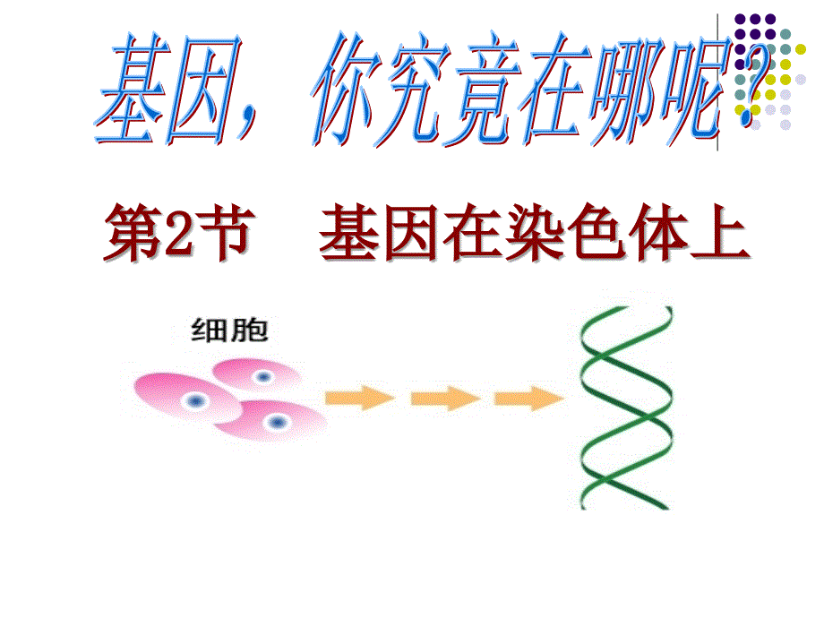 基因在染色体上(2011年公开课)_第1页