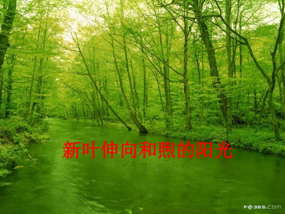 人教版教学课件浙江省温州市龙湾中学高中生物 必修一《细胞与能量》课件_第1页