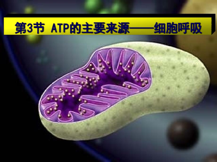 人教版教学课件山东省冠县一中高一生物《atp的主要来源—细胞呼吸》课件_第1页