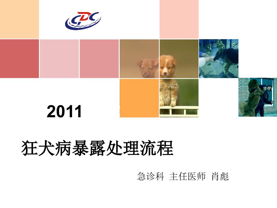 2011狂犬病暴露处理流程_第1页