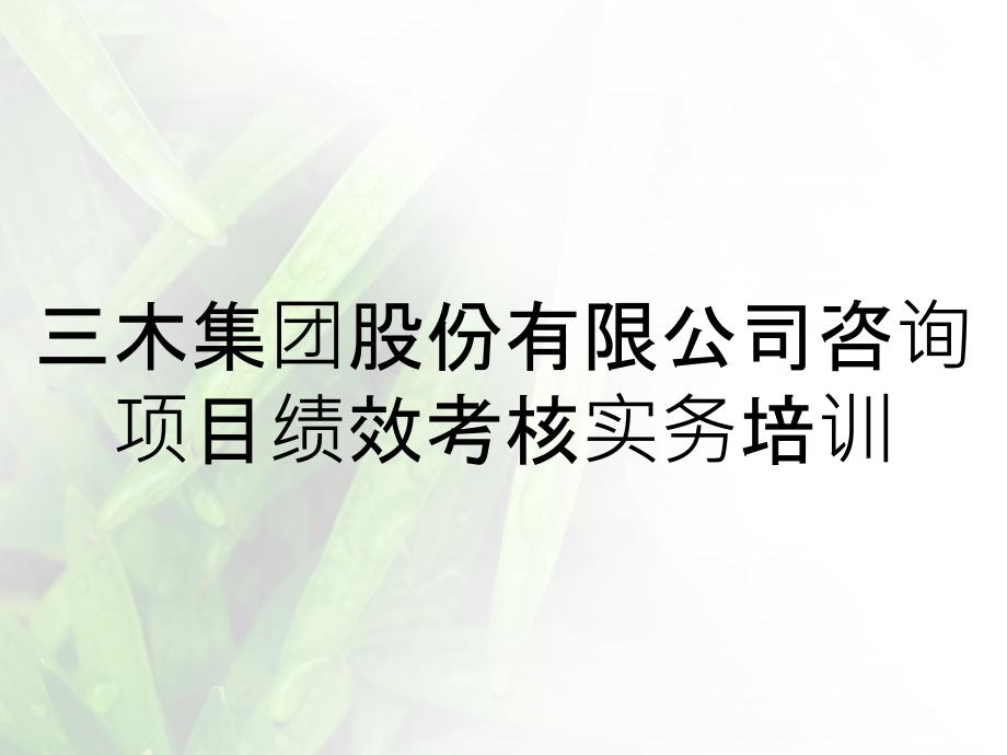 三木集团股份有限公司咨询项目绩效考核实务培训_第1页