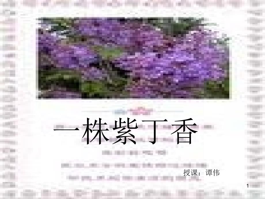 《一株紫丁香》ppt执教课件5_第1页