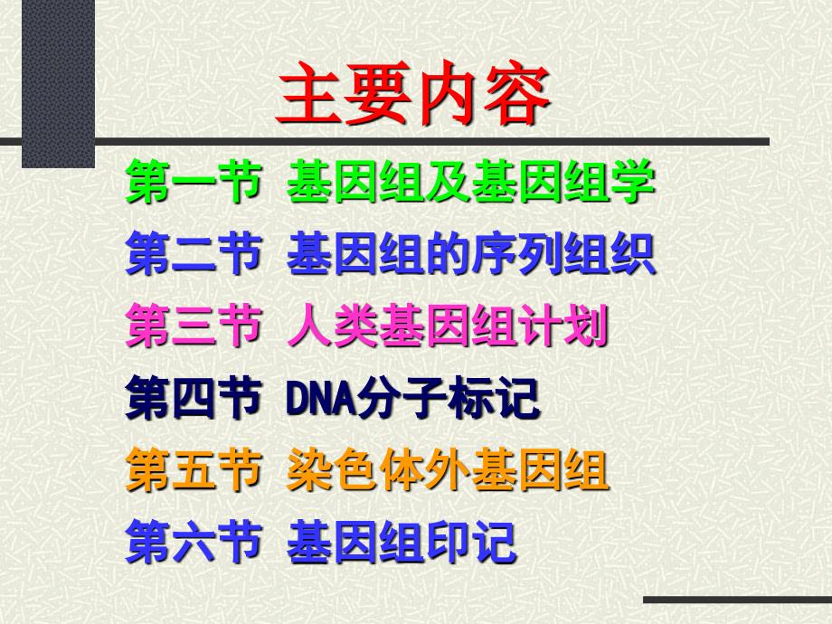 动物遗传学基因组水平的遗传课件_第1页