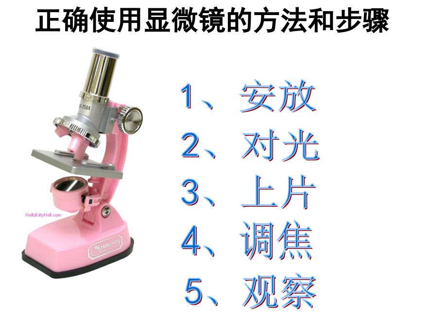 六年级下册科学课件 -1.5 用显微镜观察身边的生命世界（一）｜ 教科版(共12张PPT)_第1页