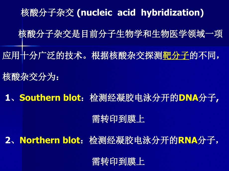 《分子生物学》研究生课件核酸分子杂交(研究生)_第1页