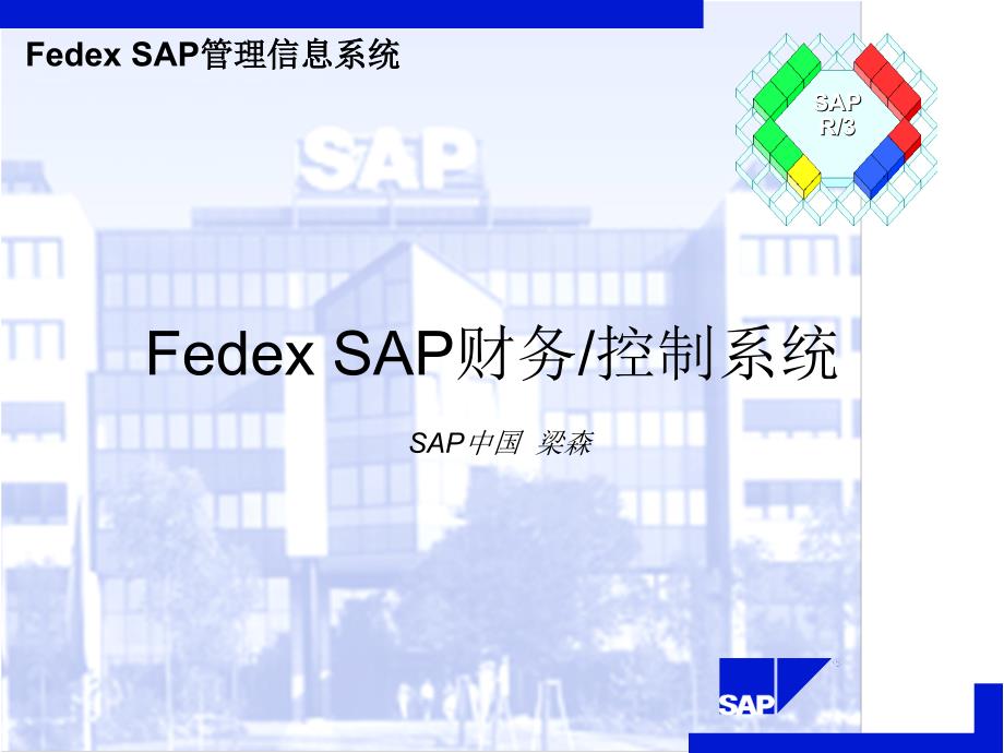 FedexSAP财务控制系统_第1页