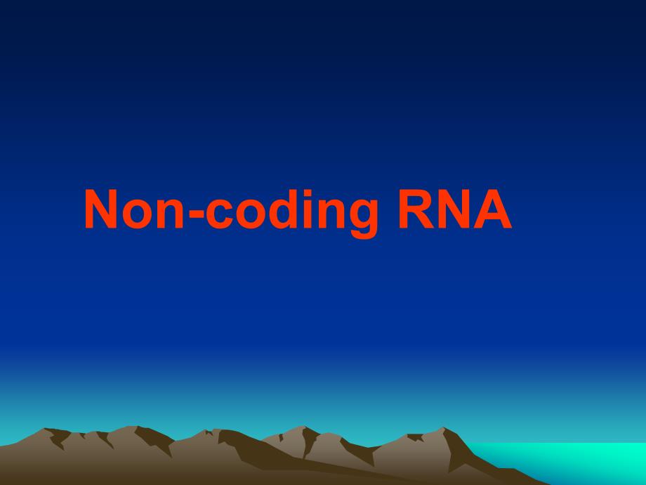 《分子生物学》研究生课件第十章非编码RNA_第1页