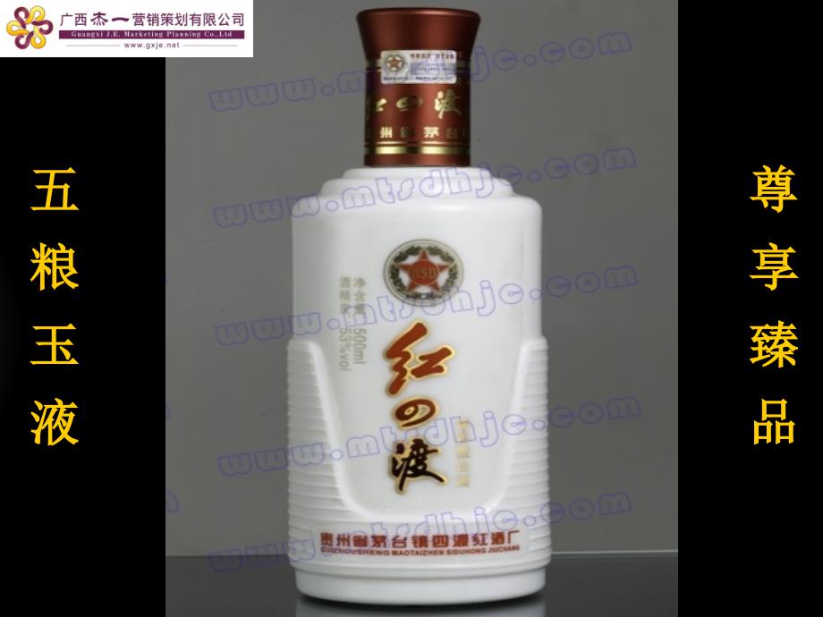 广告策划-2010年五粮液白酒HONGJIU品鉴会策划方案_第1页