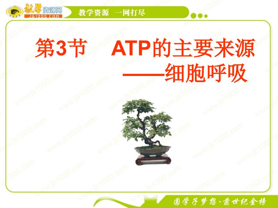 生物：5.3《ATP的主要来源——细胞呼吸》课件4(新人教版必修1)_第1页