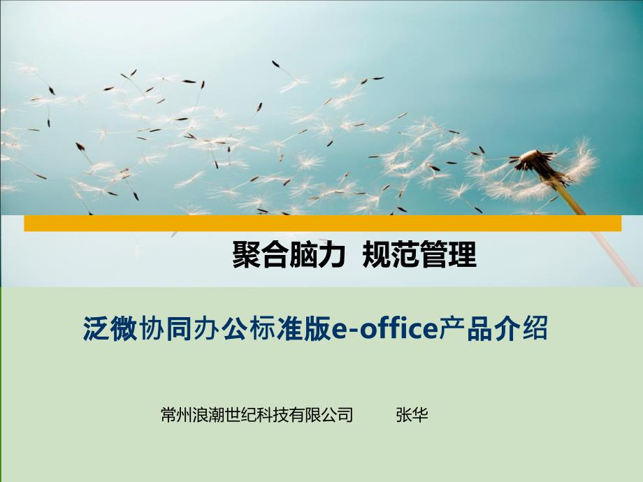 泛微协同办公标准版eoffice产品介绍_第1页