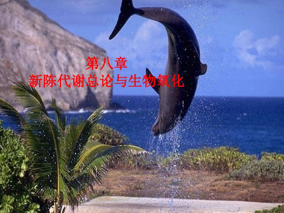 新陈代谢总论与生物氧化课件_第1页