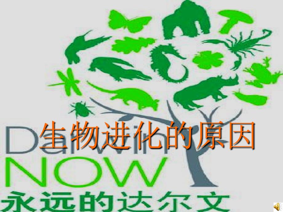 生物进化的原因_第1页