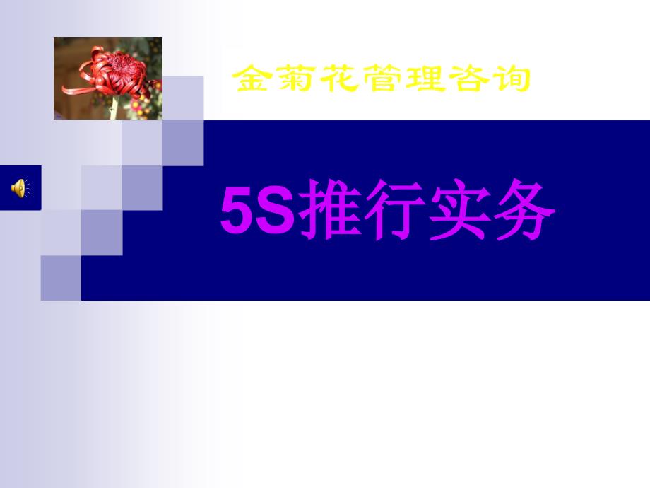 5S管理实务（PPT110页)_第1页