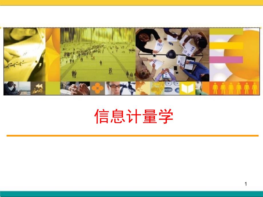 14网络环境下的信息计量研究_第1页