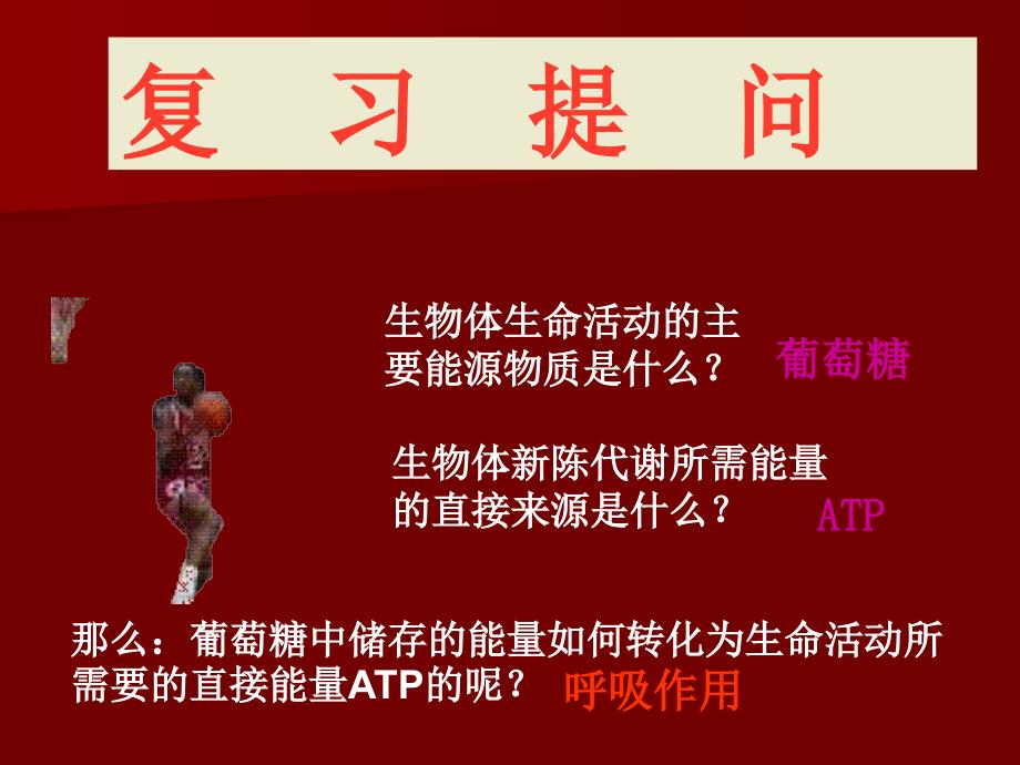 生物学③必修5.3《ATP的主要来源——细胞呼吸》(新人教版-必修1)PPT课件_Hooker_第1页