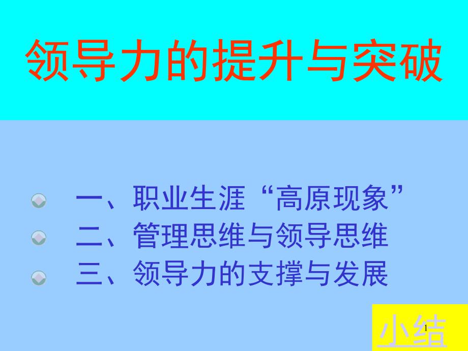 13 领导力的提升与突破0704_第1页