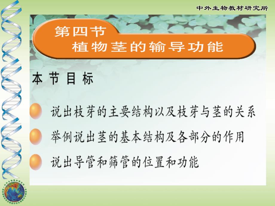 形成层树皮木质部髓韧皮部保护组织木本植物的茎讨论课件_第1页