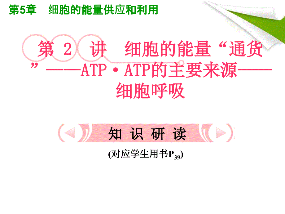 生物总复习课件：52《细胞的能量“通货”——ATP·ATP的主要来源(新人教版必修1)(共40张PPT) 2_第1页