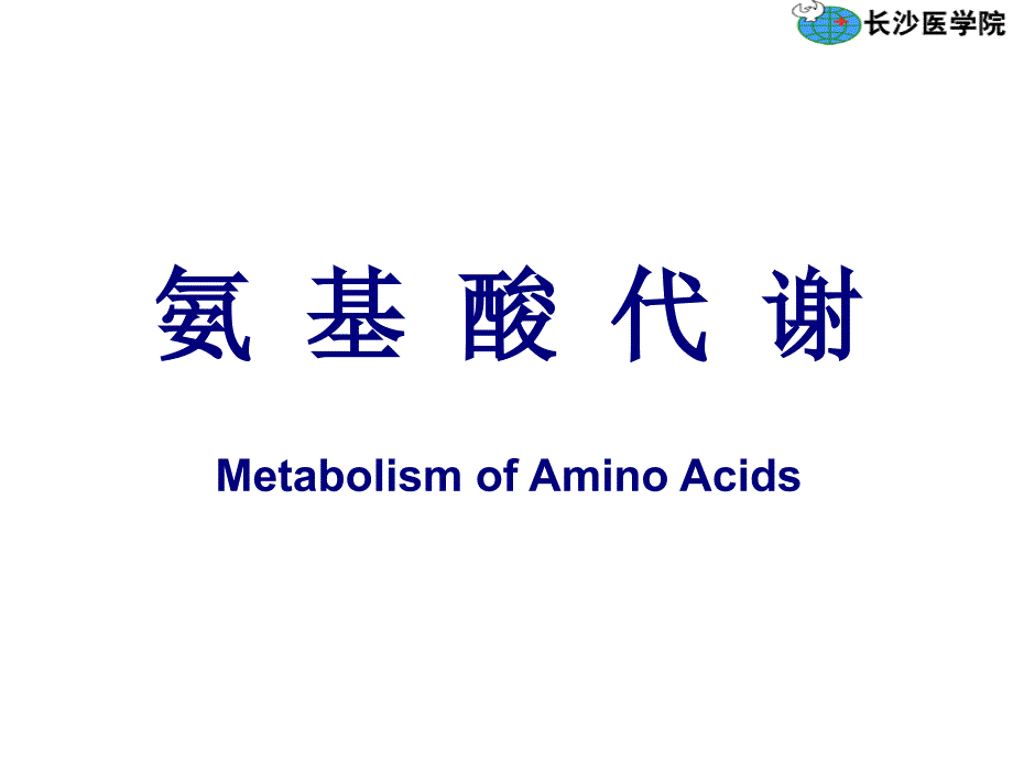 氨基酸代谢_第1页