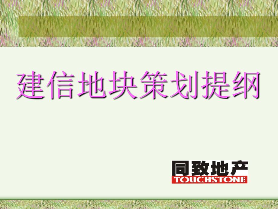 建信地块策划提纲课件_第1页