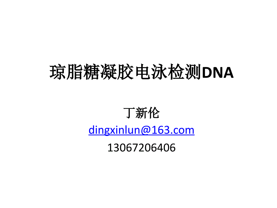 琼脂糖凝胶电泳检测dna_第1页