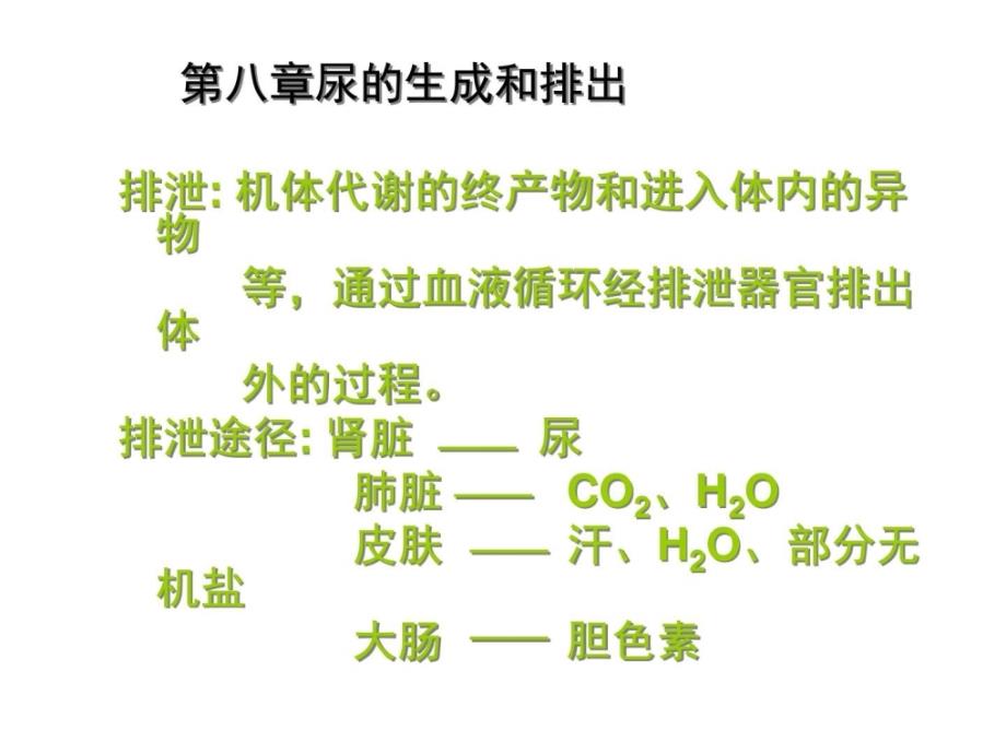 尿的形成分析课件_第1页