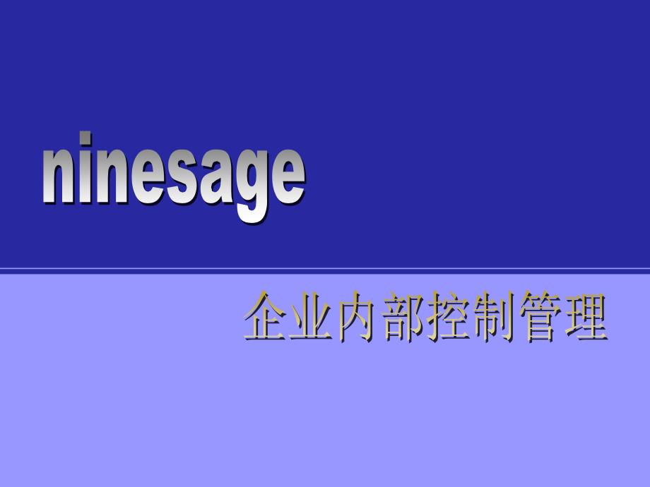 九略-汇仁集团战略咨询项目全套企业内控制度培训提纲0711_第1页