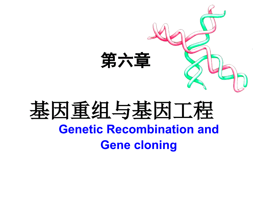 第六章DNA重组与克隆课件_第1页