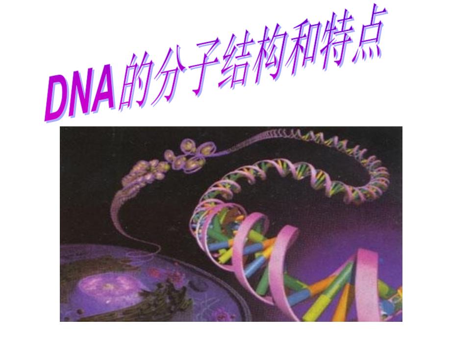 DNA分子结构整理_第1页