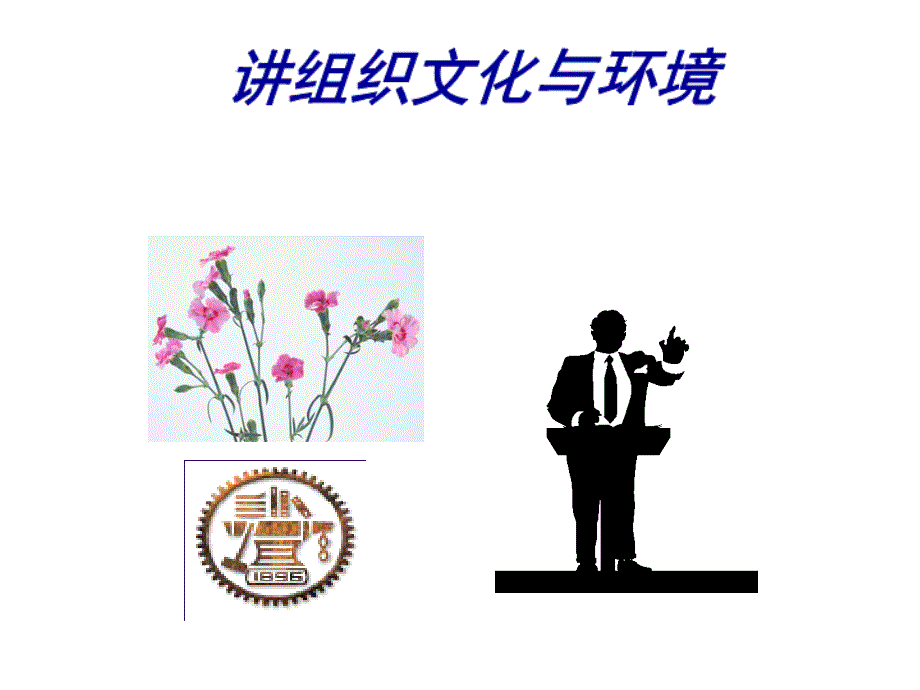 第三讲组织文化与环境课件_第1页