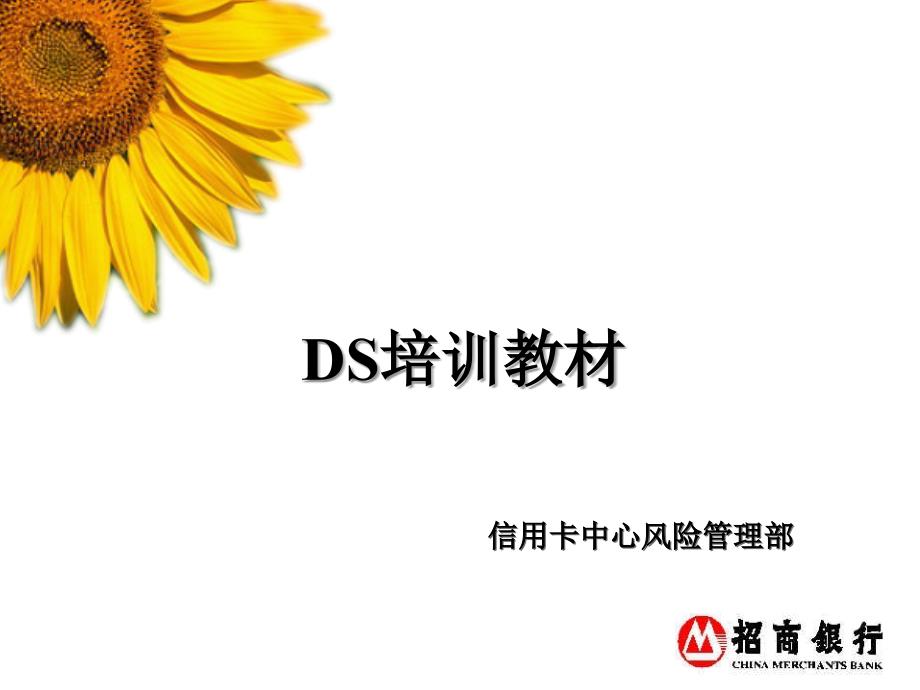 DS征信培训教材修正版（PPT28页）_第1页