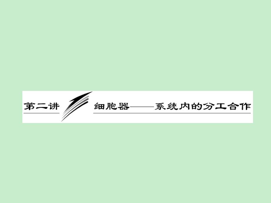 必修1 第二单元第二讲细胞器——系统内的分工合作_第1页