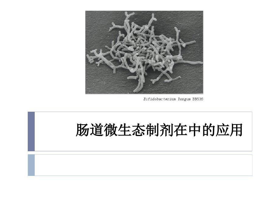 肠道微生态制剂在ICU中的应用课件_第1页