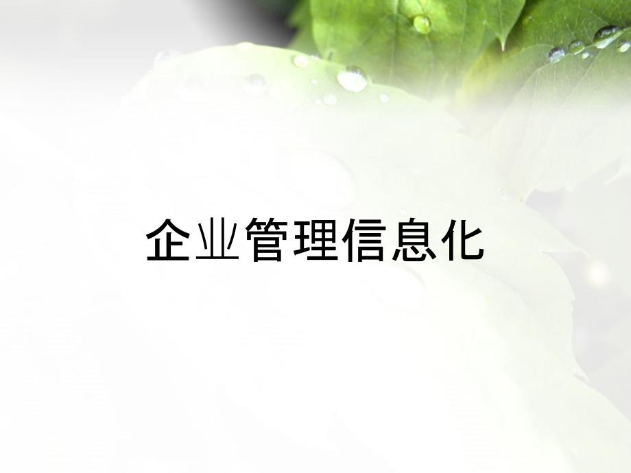 企业管理信息化_第1页